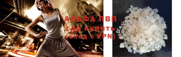 крисы Аркадак