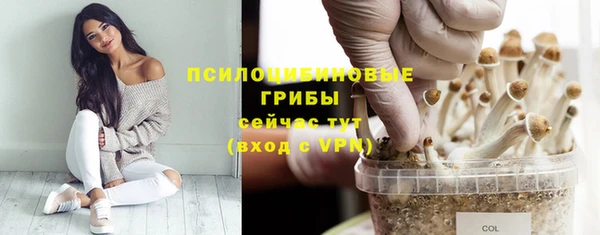 кокс Арсеньев