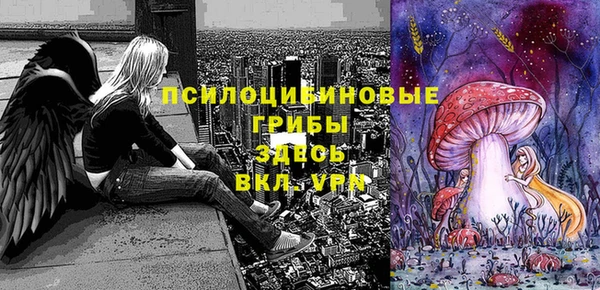 PSILOCYBIN Баксан